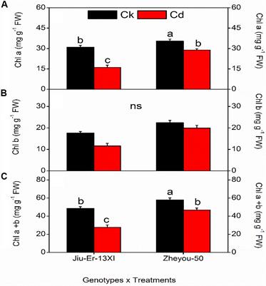 Indigenous Tocopherol Improves Tolerance of Oilseed Rape to Cadmium Stress